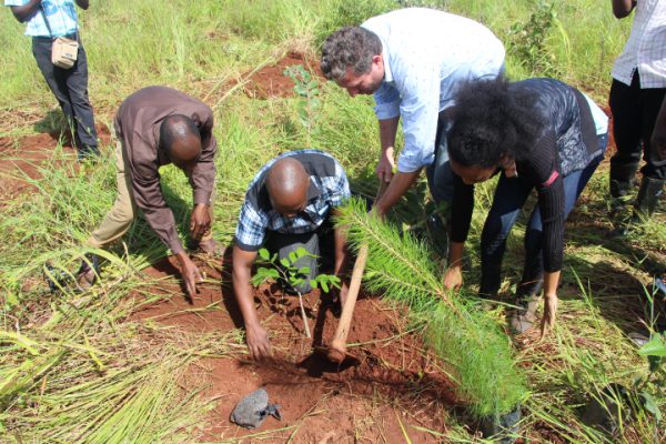 IMG_1562 (1)