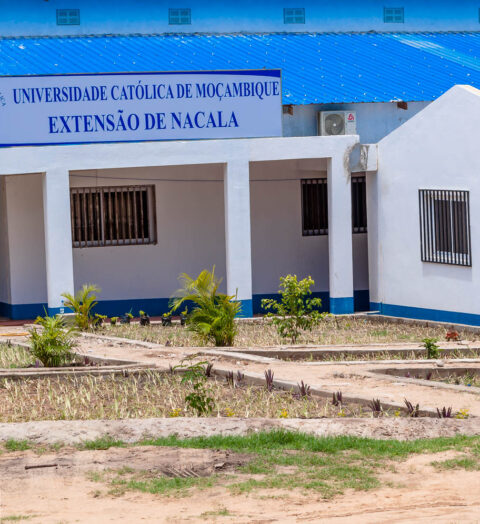 UCM (19)