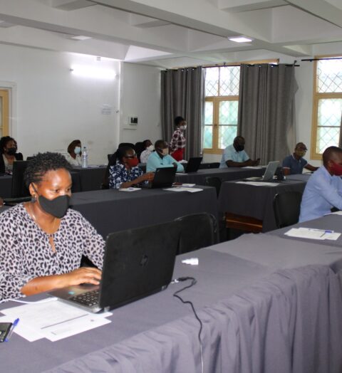 IMG_1755