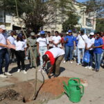 Capelao plantando a arvore